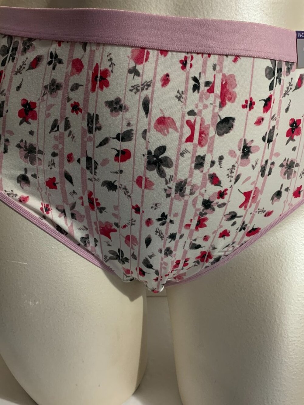 Catherines Hi-Cut Panties Underwear Cotton Blend Floral Striped Pink Plus 2X